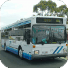 Bunbury City Transit